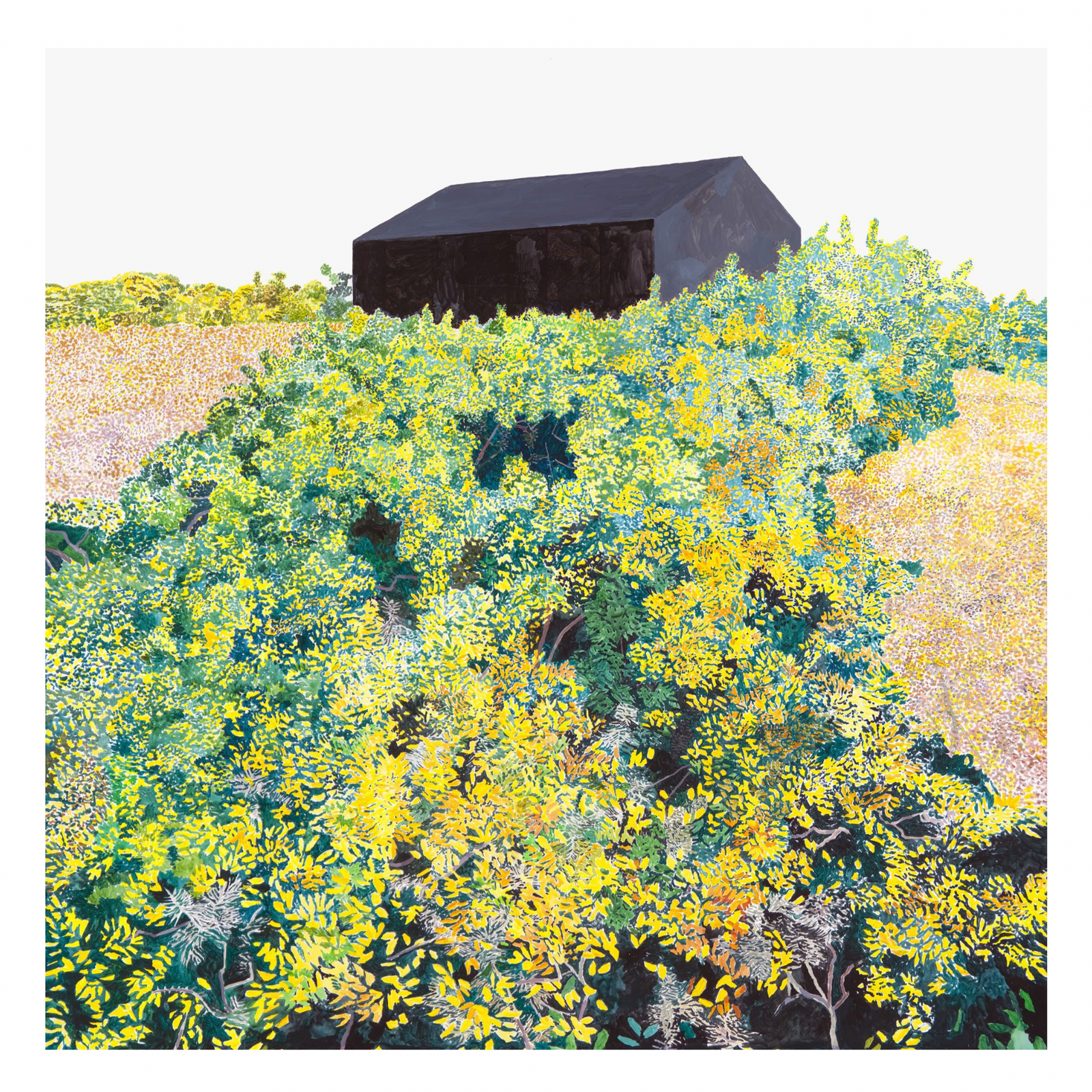 GIANNI NOTARIANNI - Gorse