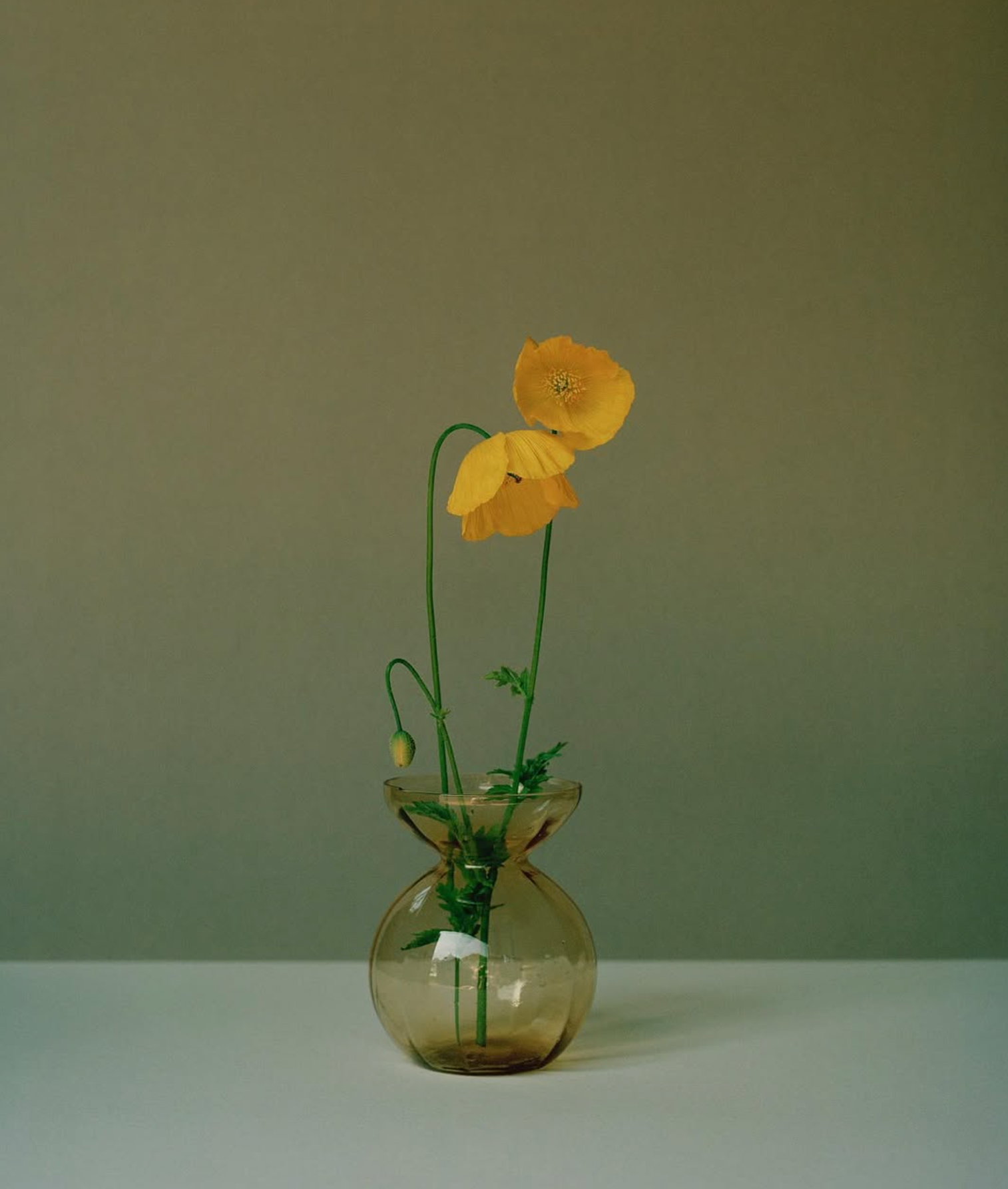 Portraits by Kate Friend: As Chosen By...