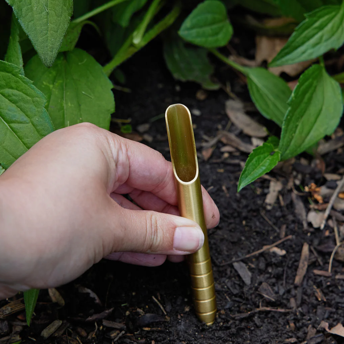 Modern Sprout Seed Library Set