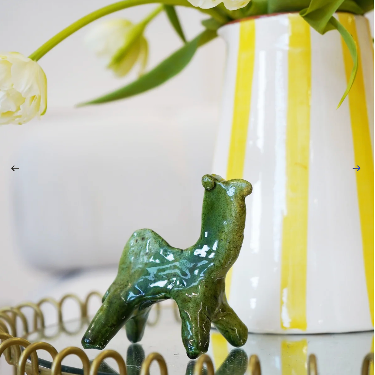 Tamegroute Camel
