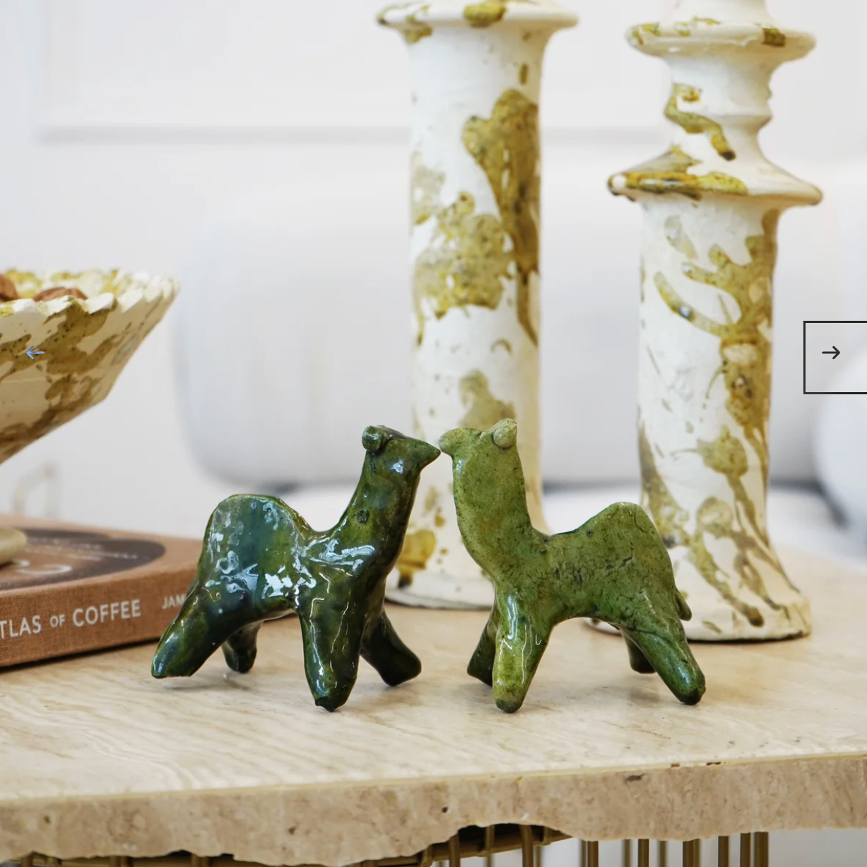 Tamegroute Camel