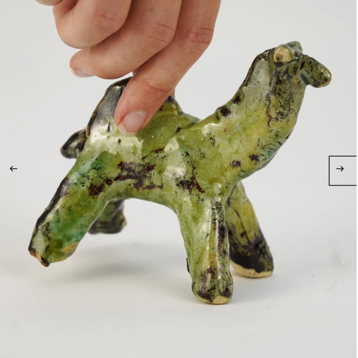 Tamegroute Camel