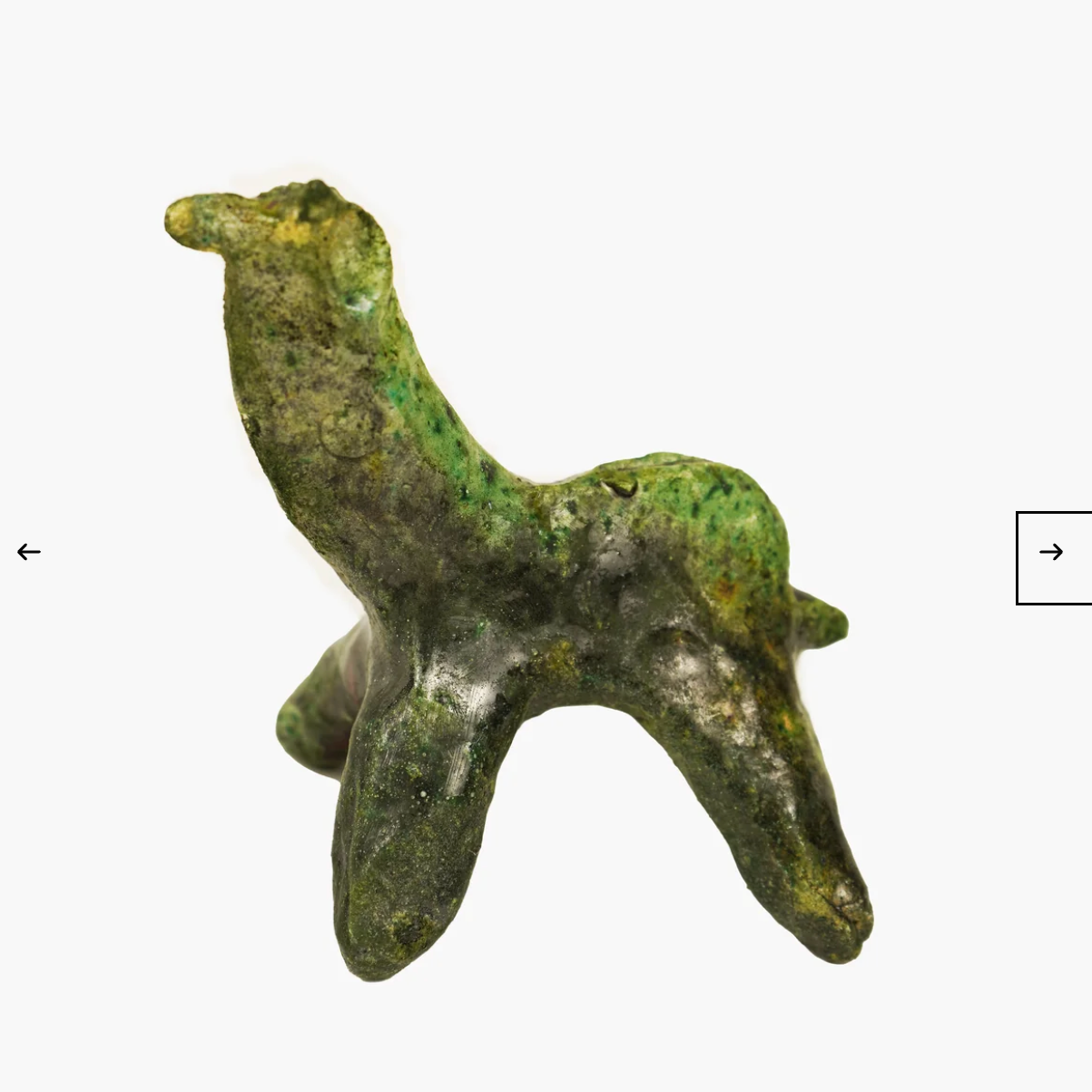Tamegroute Camel