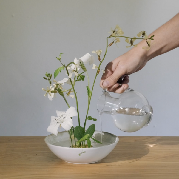 Niwaki Kenzan Flower Frog - Hops Petunia Floral Niwaki Kenzan Flower Frog - Hops Petunia Floral