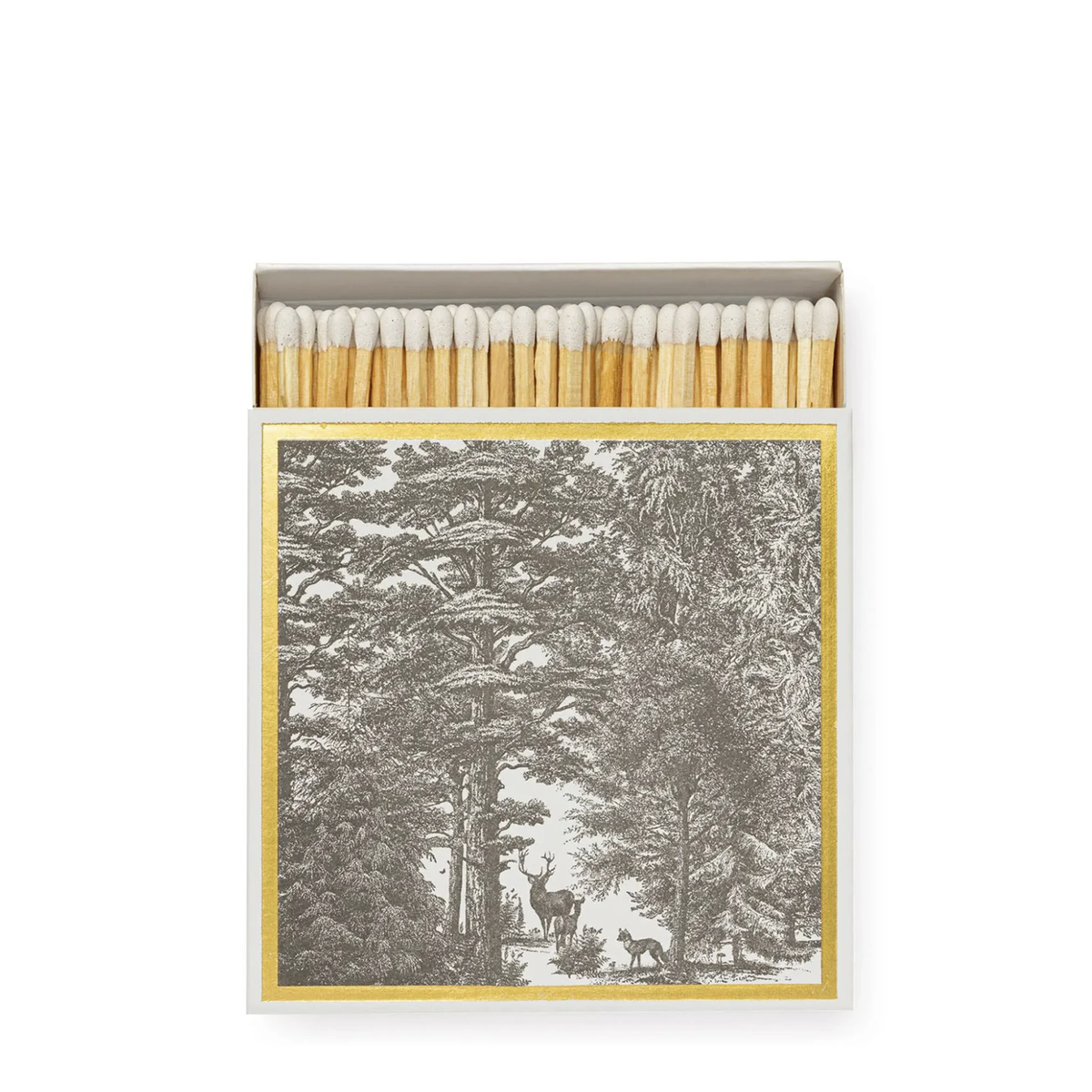 Archivist Matchboxes
