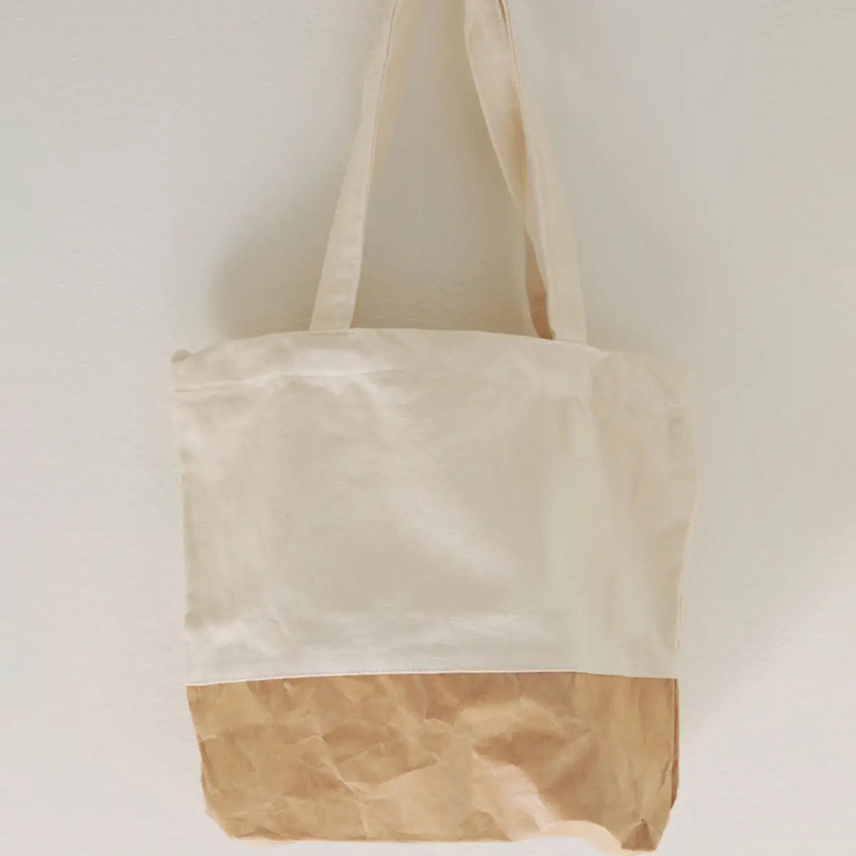 Dupont Paper and Canvas Tote