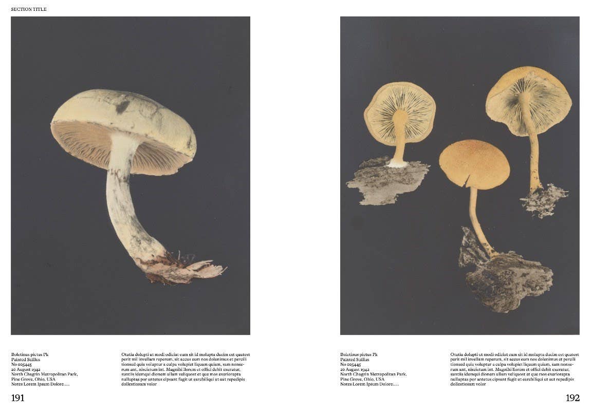 An Illustrated Catalog of American Mushrooms