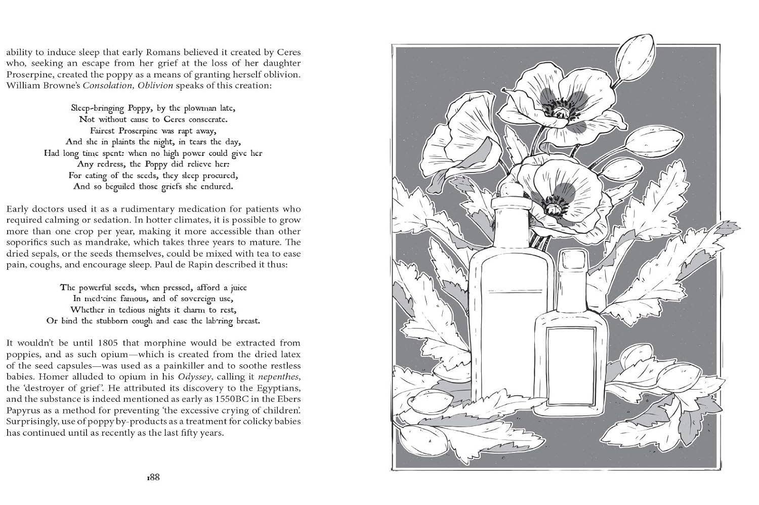 Botanical Curses and Poisons: The Shadow-Lives of Plants