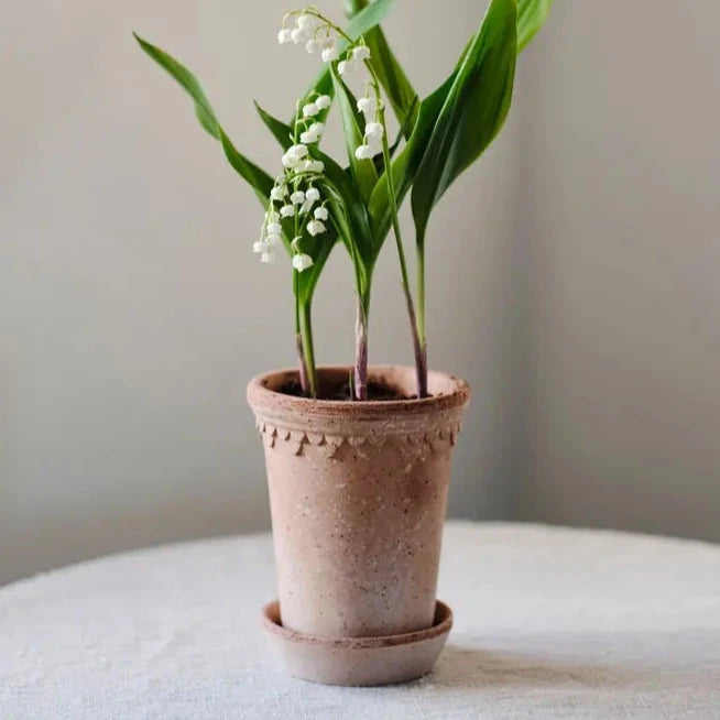Tall Kobenhavener Pots by Bergs Potter