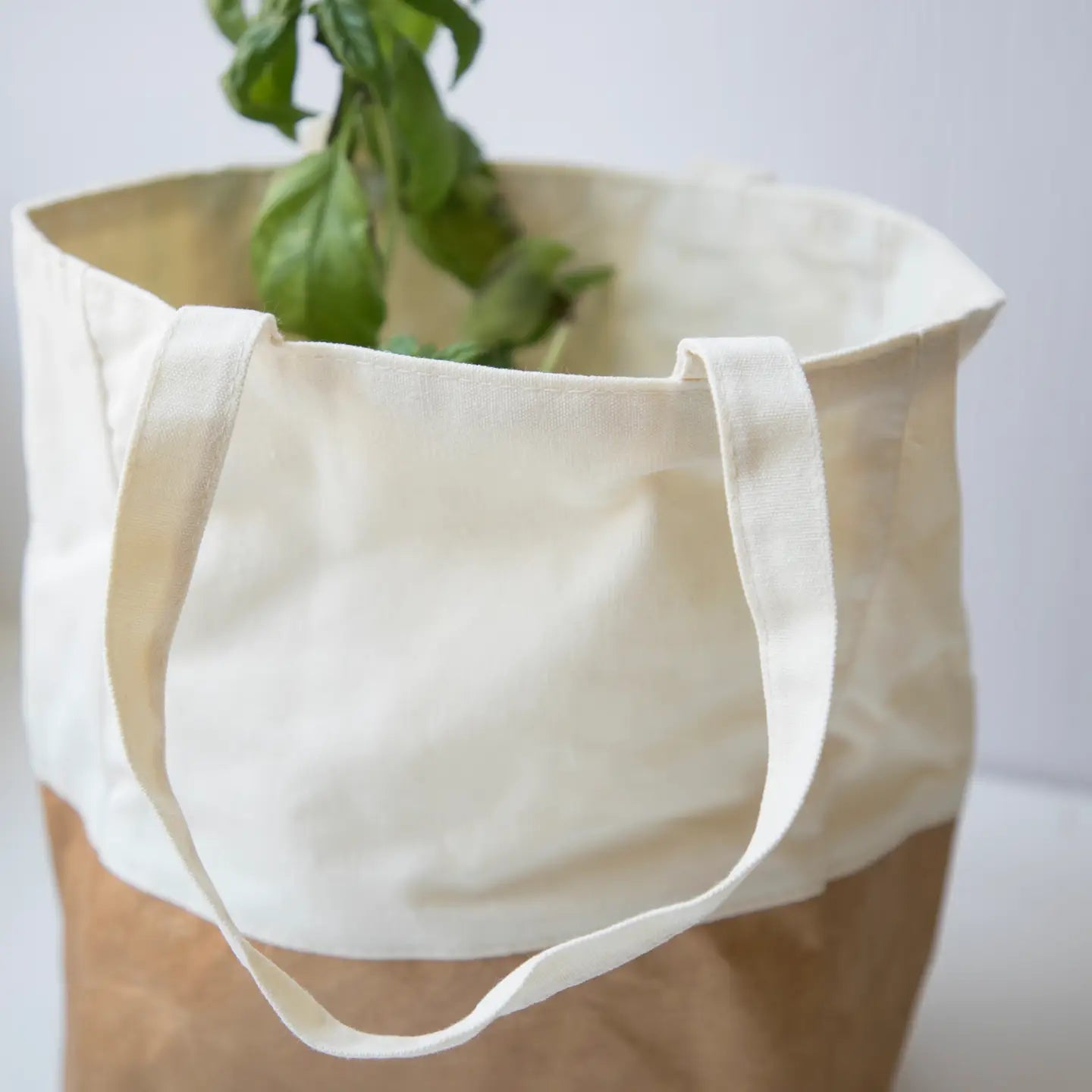 Dupont Paper and Canvas Tote