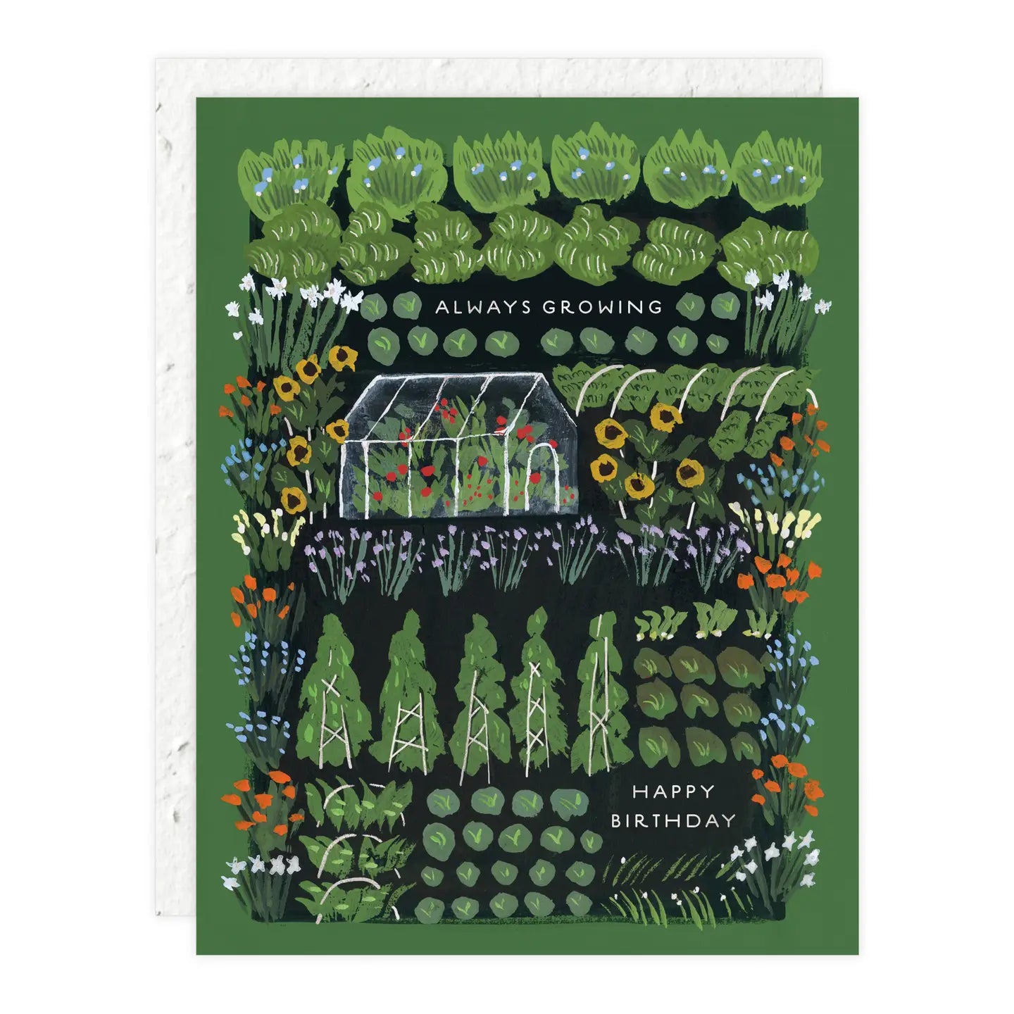 Seedlings Greeting Cards