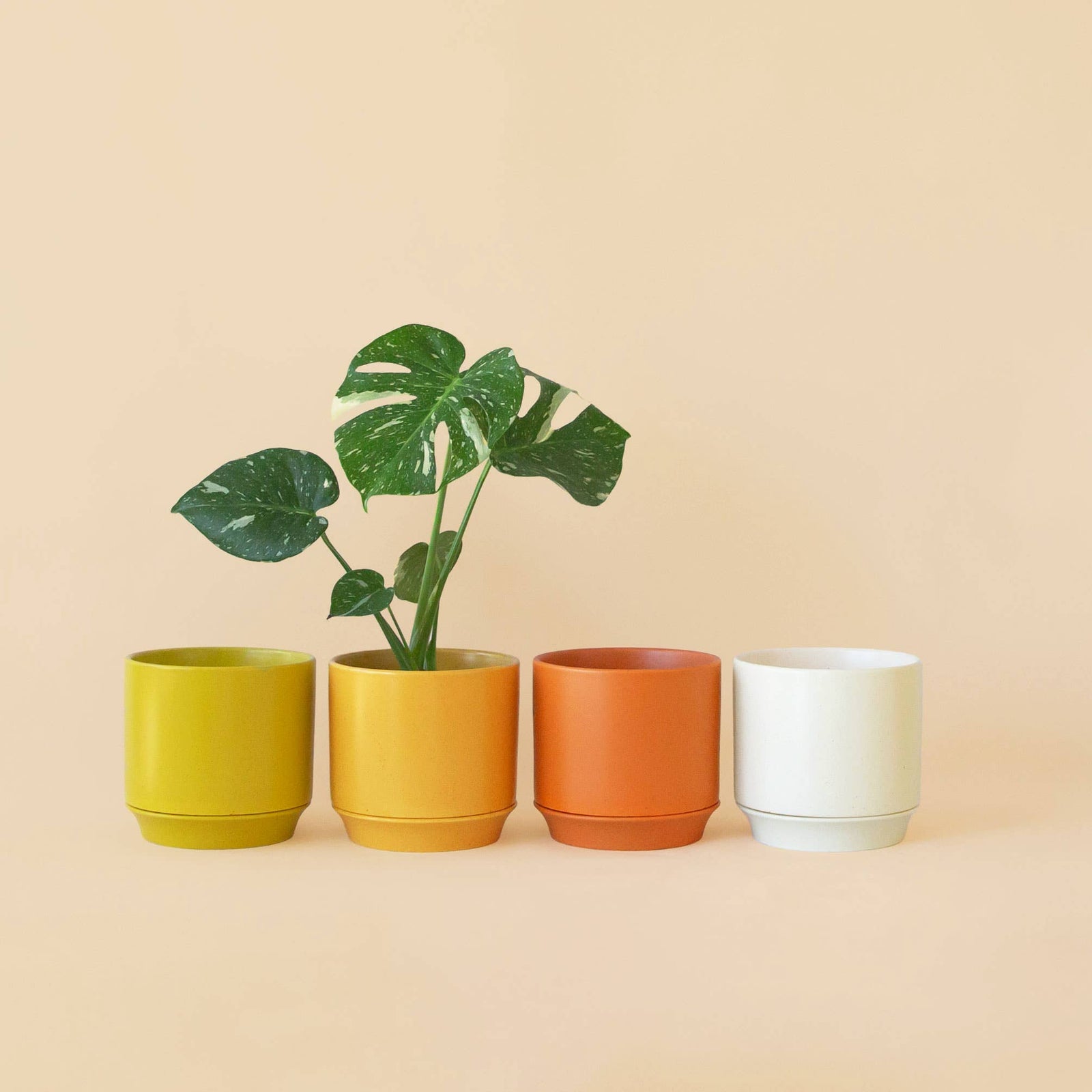 Parker Planter