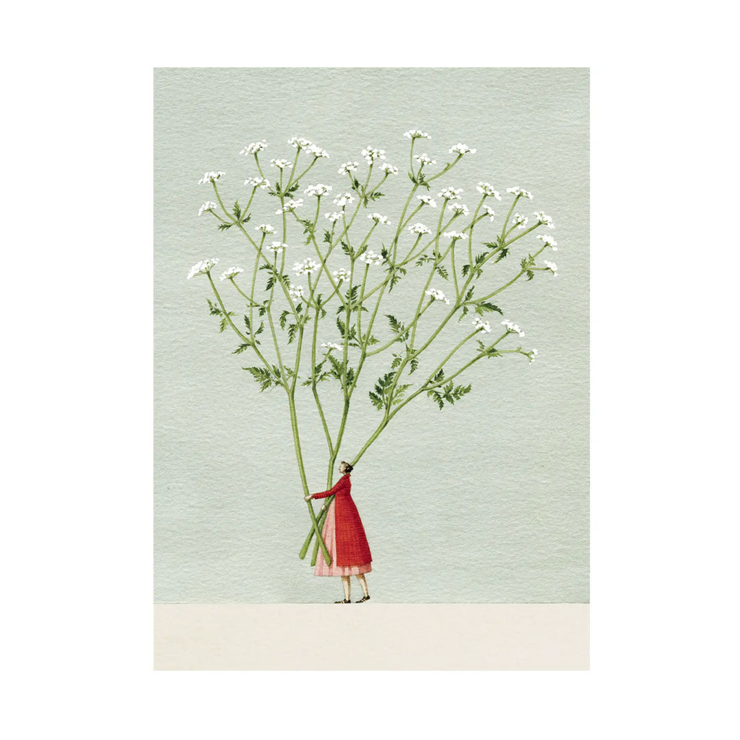 Cow Parsley Card