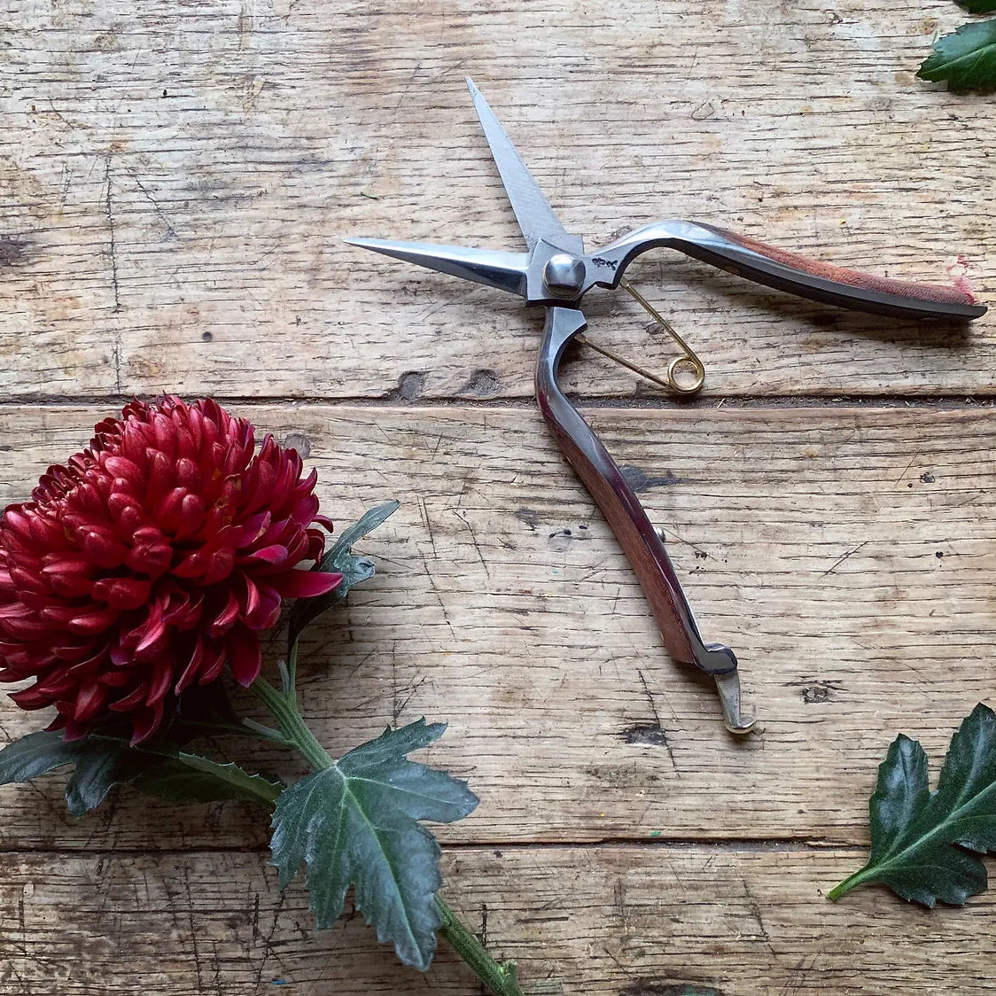 Niwaki Kurumi Pro Snips