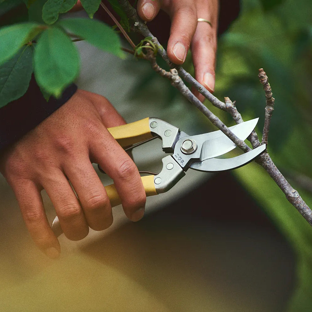 Niwaki Daikiba Secateurs