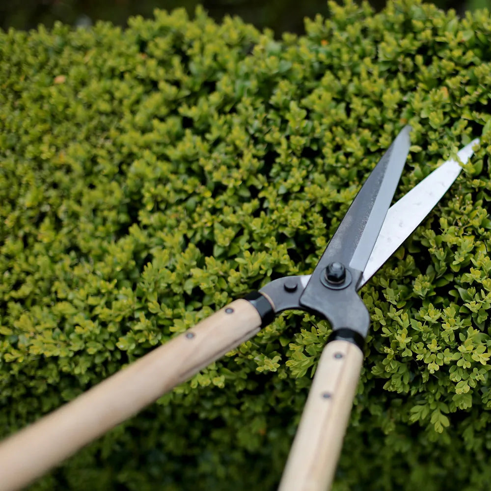 Niwaki Garden Standard Shears