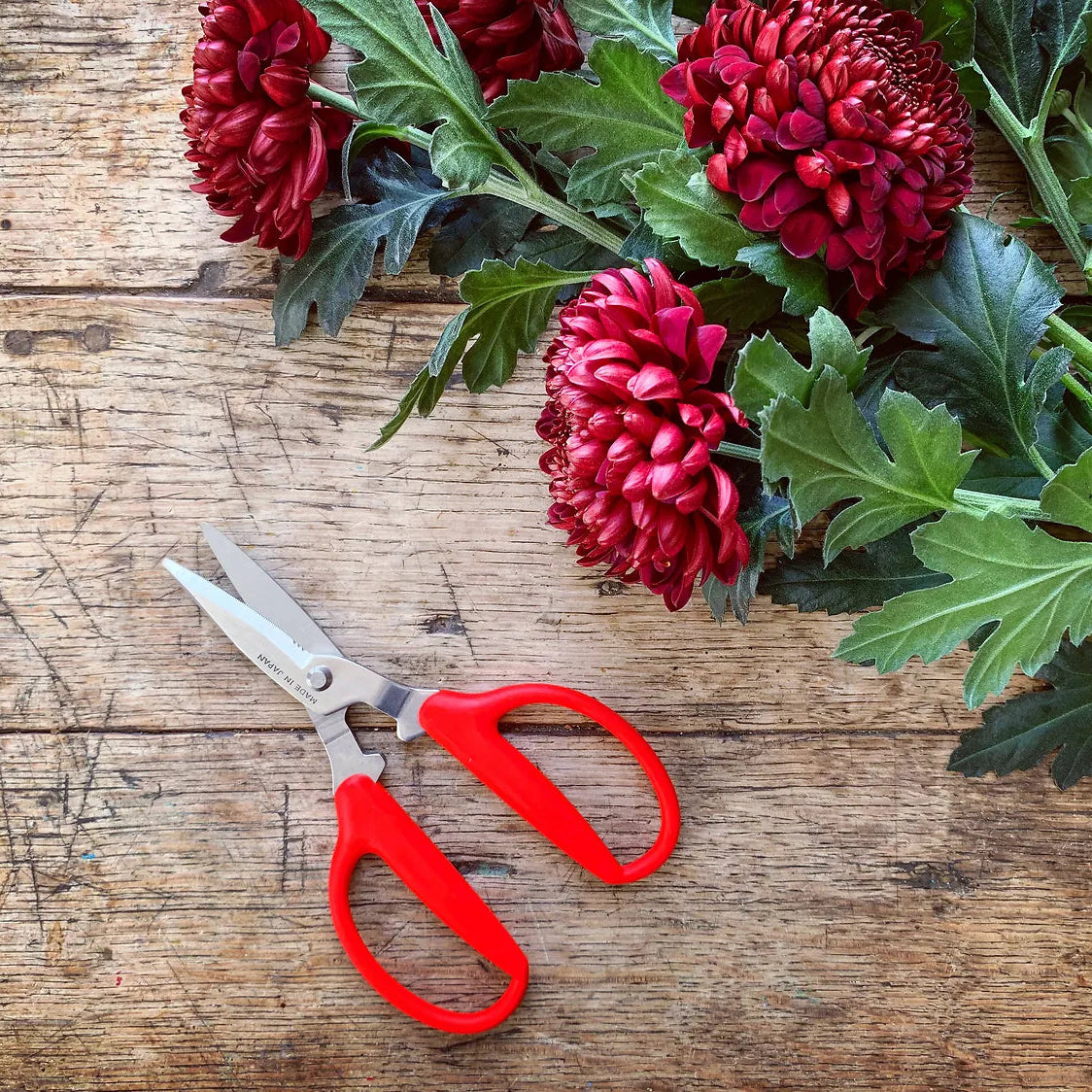 Niwaki Utility Scissors