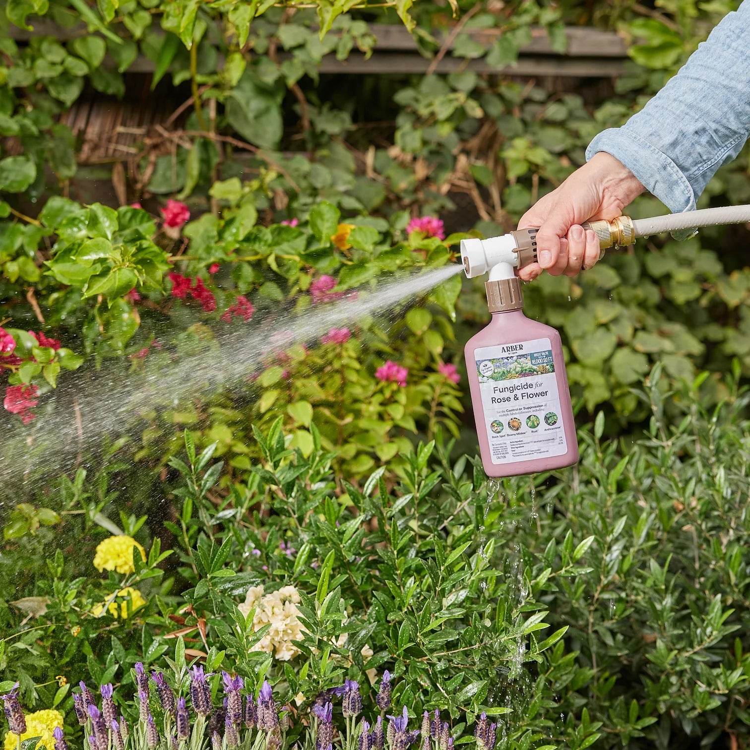 Organic Fungicide for Rose & Flower