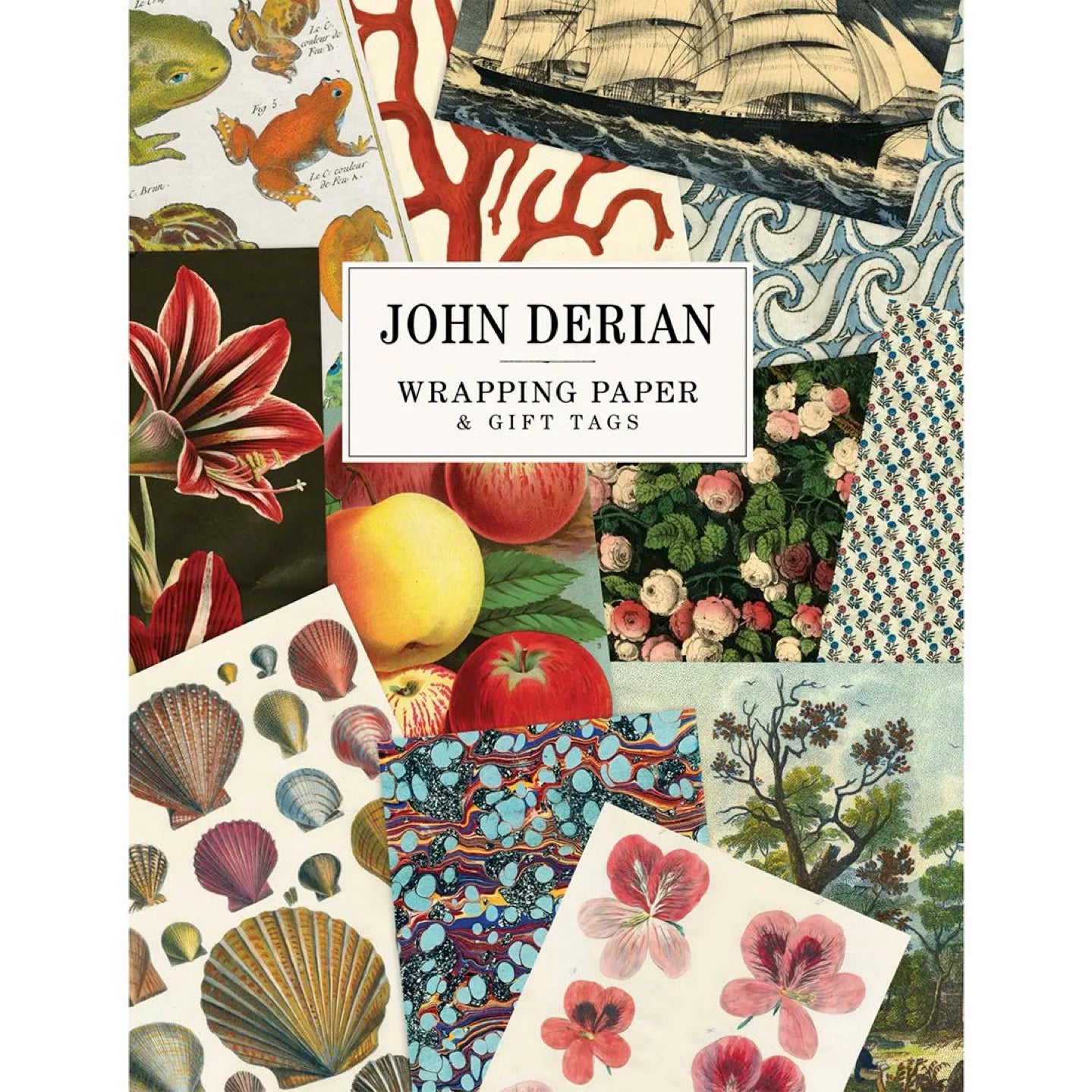 John Derian Wrapping Paper & Gift Tags