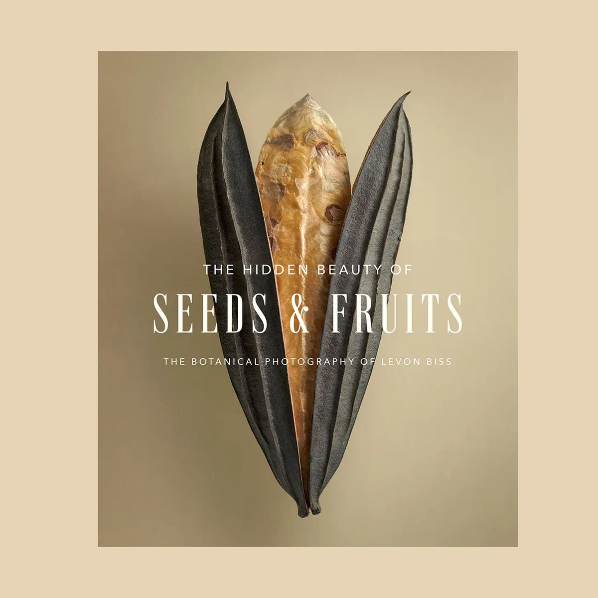 The Hidden Beauty of Seeds &amp; Fruits