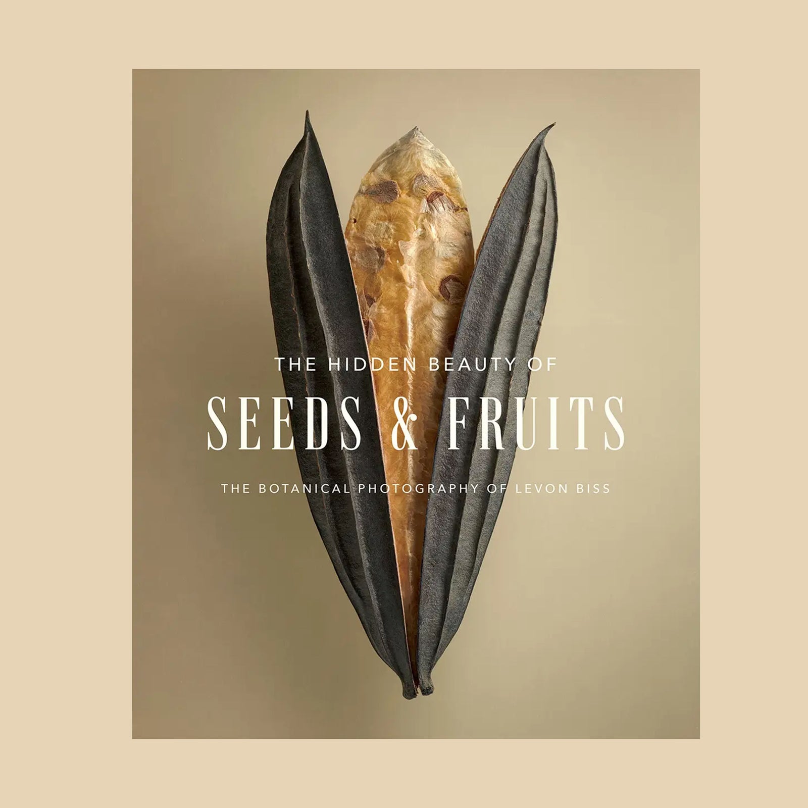The Hidden Beauty of Seeds & Fruits