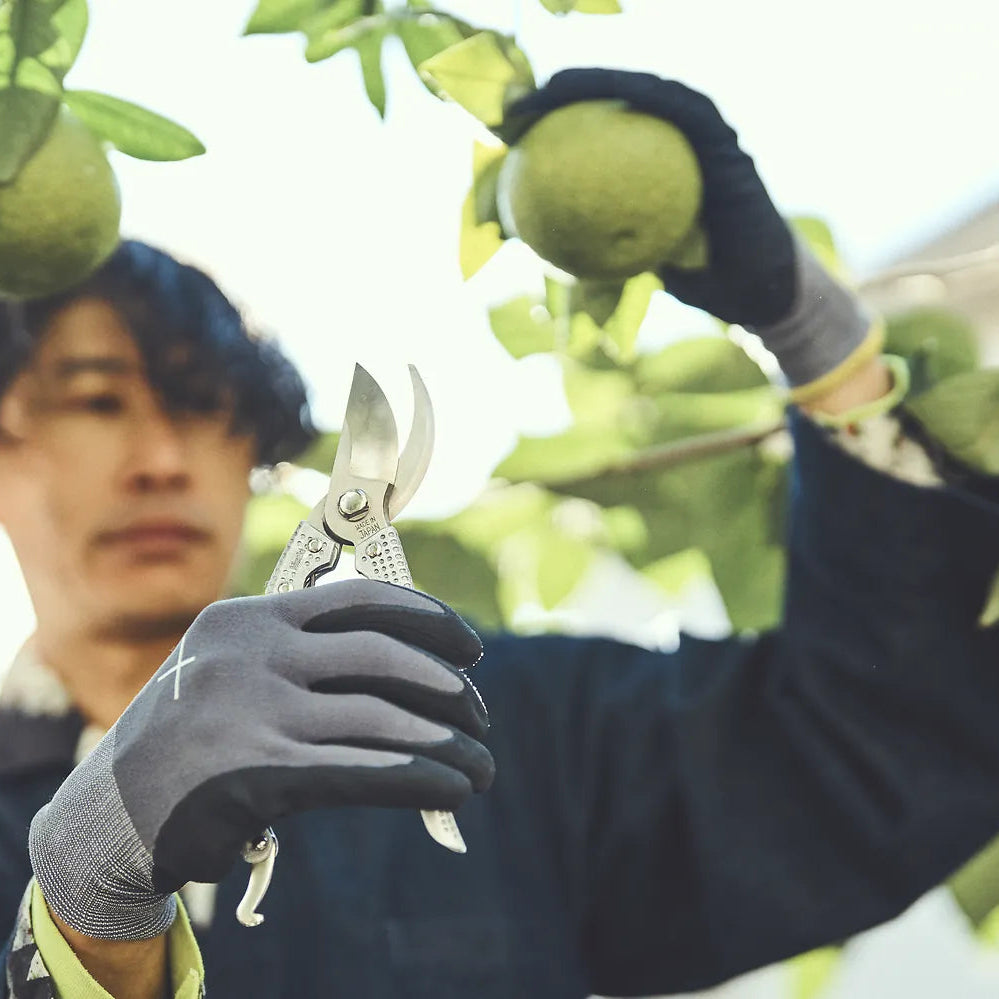 Niwaki Shumatsu Secateurs