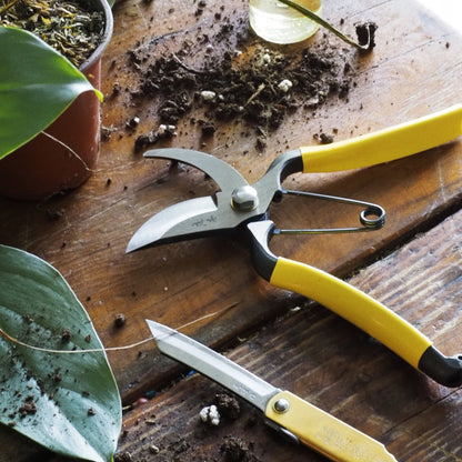 Pruning "Secateur" Shears