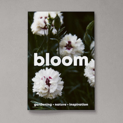 Bloom Magazine Issue 14
