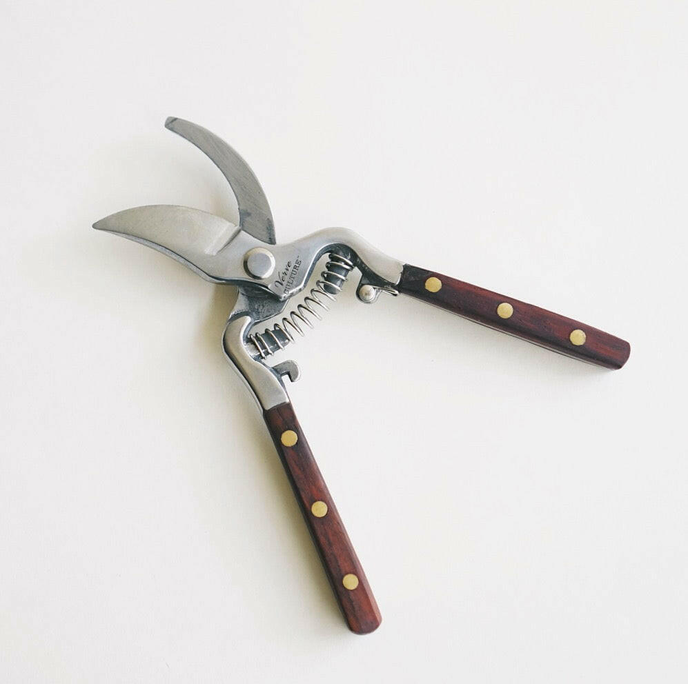 Thai Kitchen and Garden Shears - Kitchen - Verve - Hops Petunia Floral