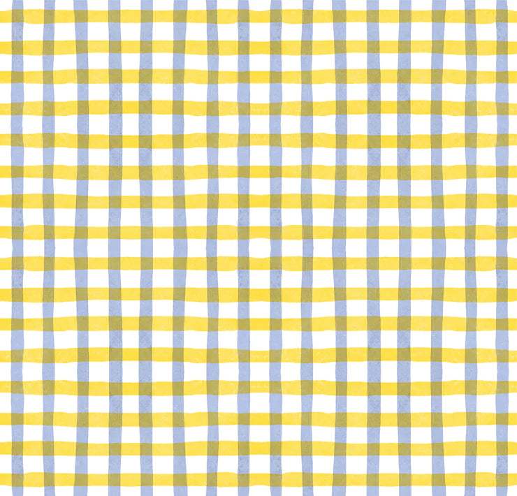 Picnic Napkins ~ Set of 2