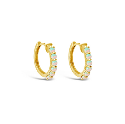 Sierra Winter Karma Hoop Earrings
