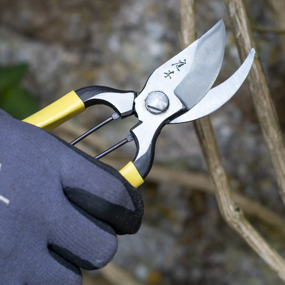 Niwaki Pruning Shears