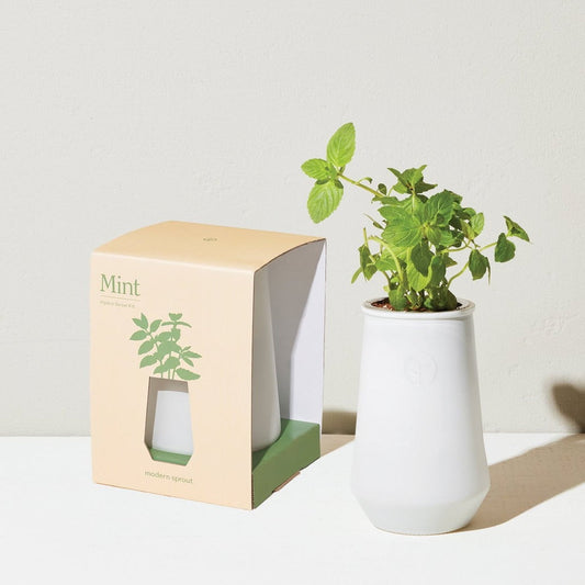 Modern Sprout Hydro Grow Tumbler - Garden - Modern Sprout - Hops Petunia Floral