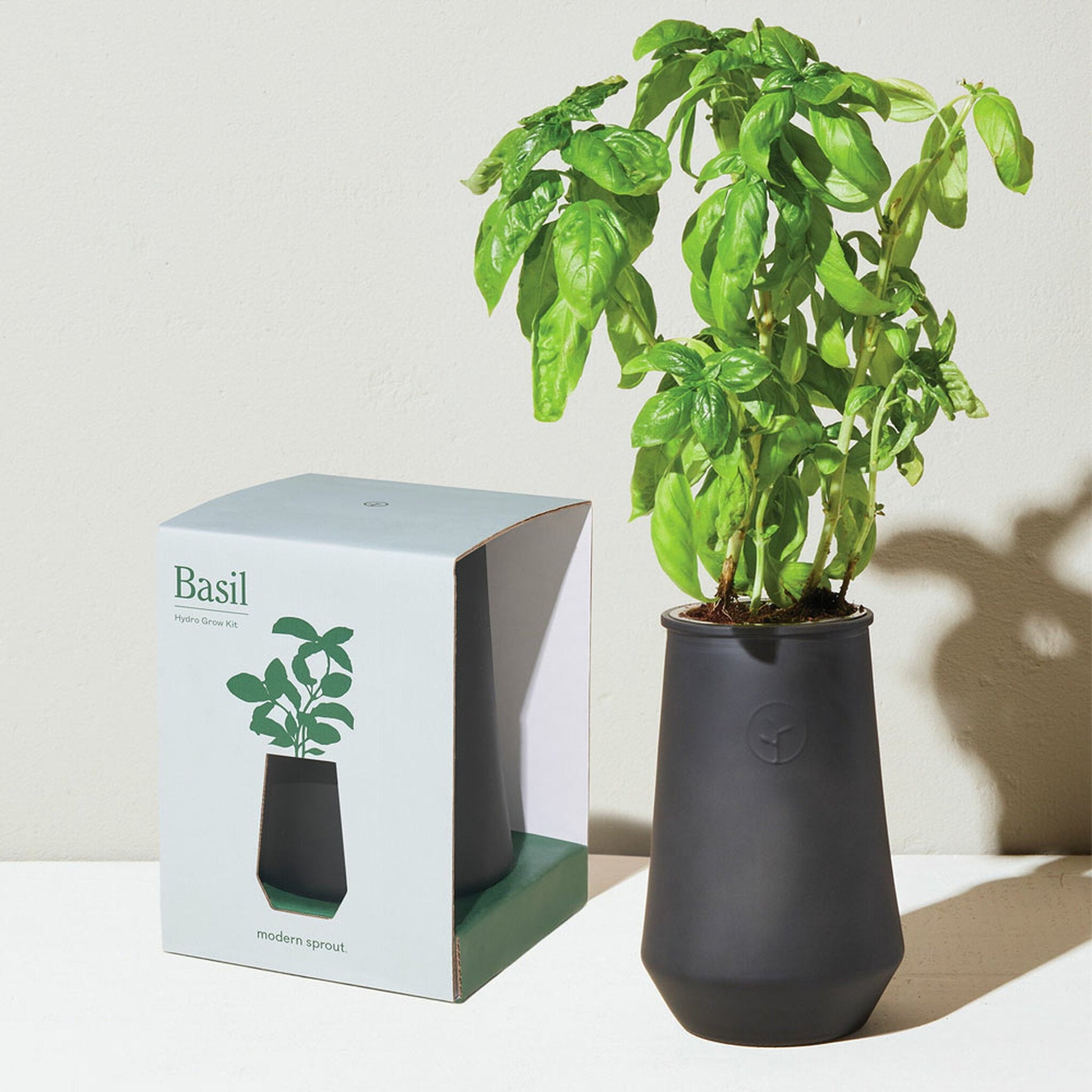 Modern Sprout Hydro Grow Tumbler - Garden - Modern Sprout - Hops Petunia Floral
